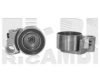 CALIBER 46864 Tensioner, timing belt